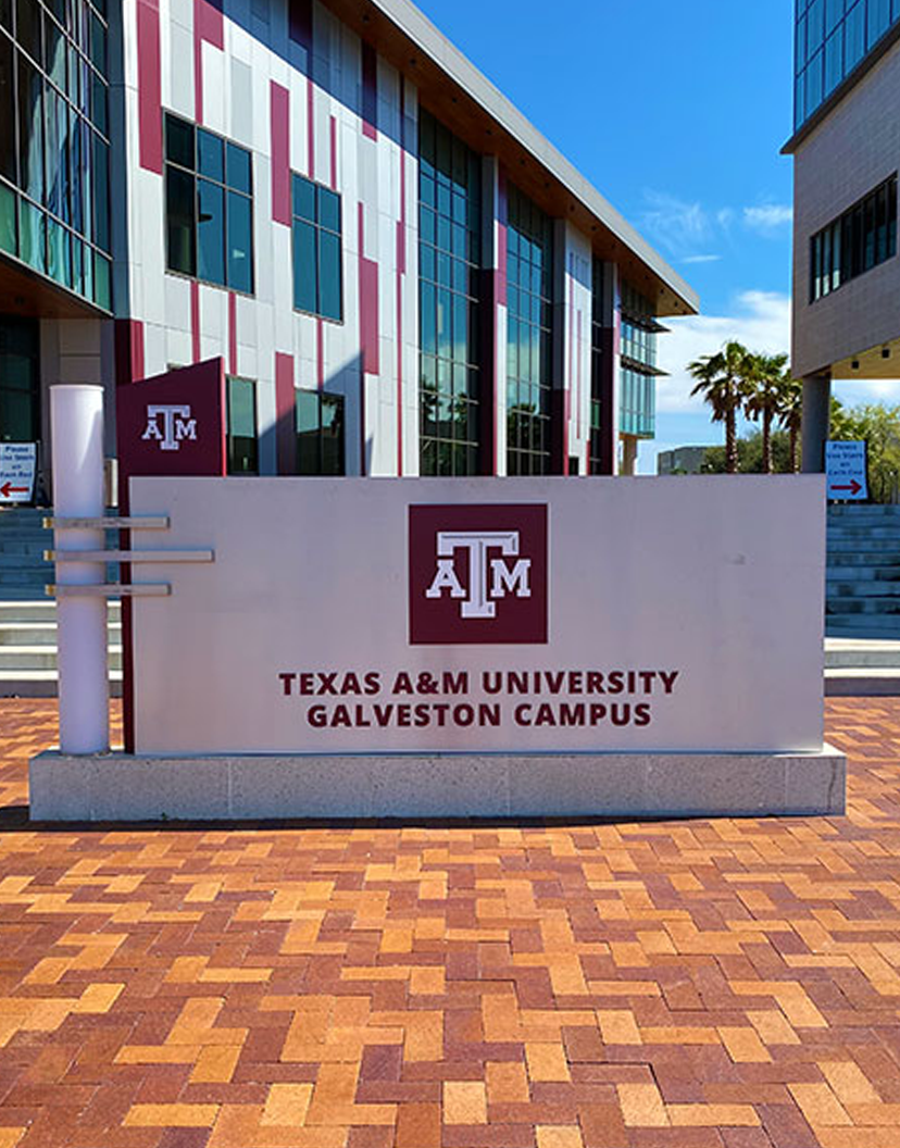 Texas A&M Galveston